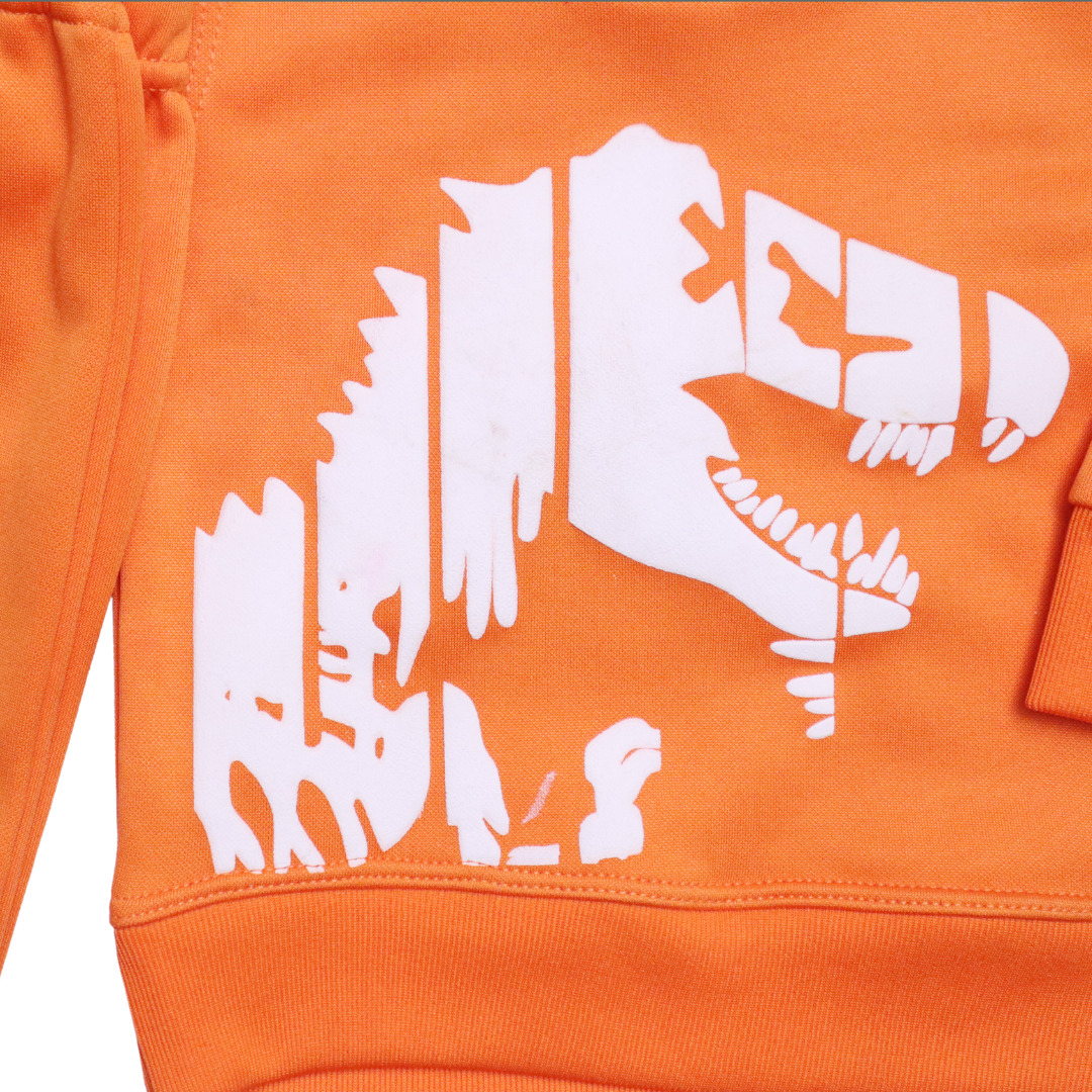Orange Dino 3d Printed Tracksuit (Fleece) - Miniwears