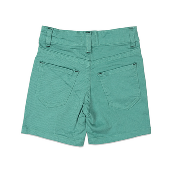 Sky Green Shorts for Boys