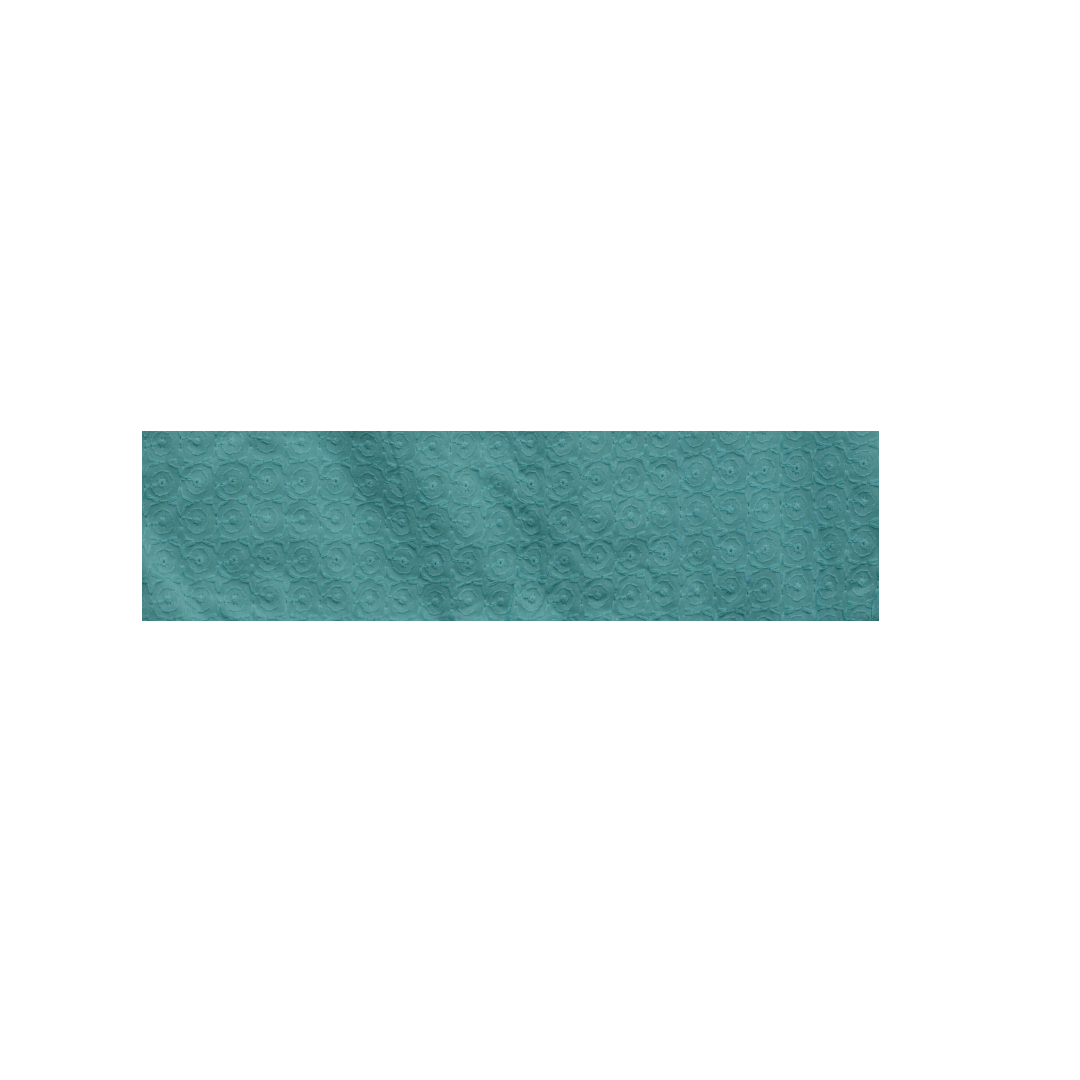 Girls Light Blue top (Chicken Fabric Embroided) - Miniwears