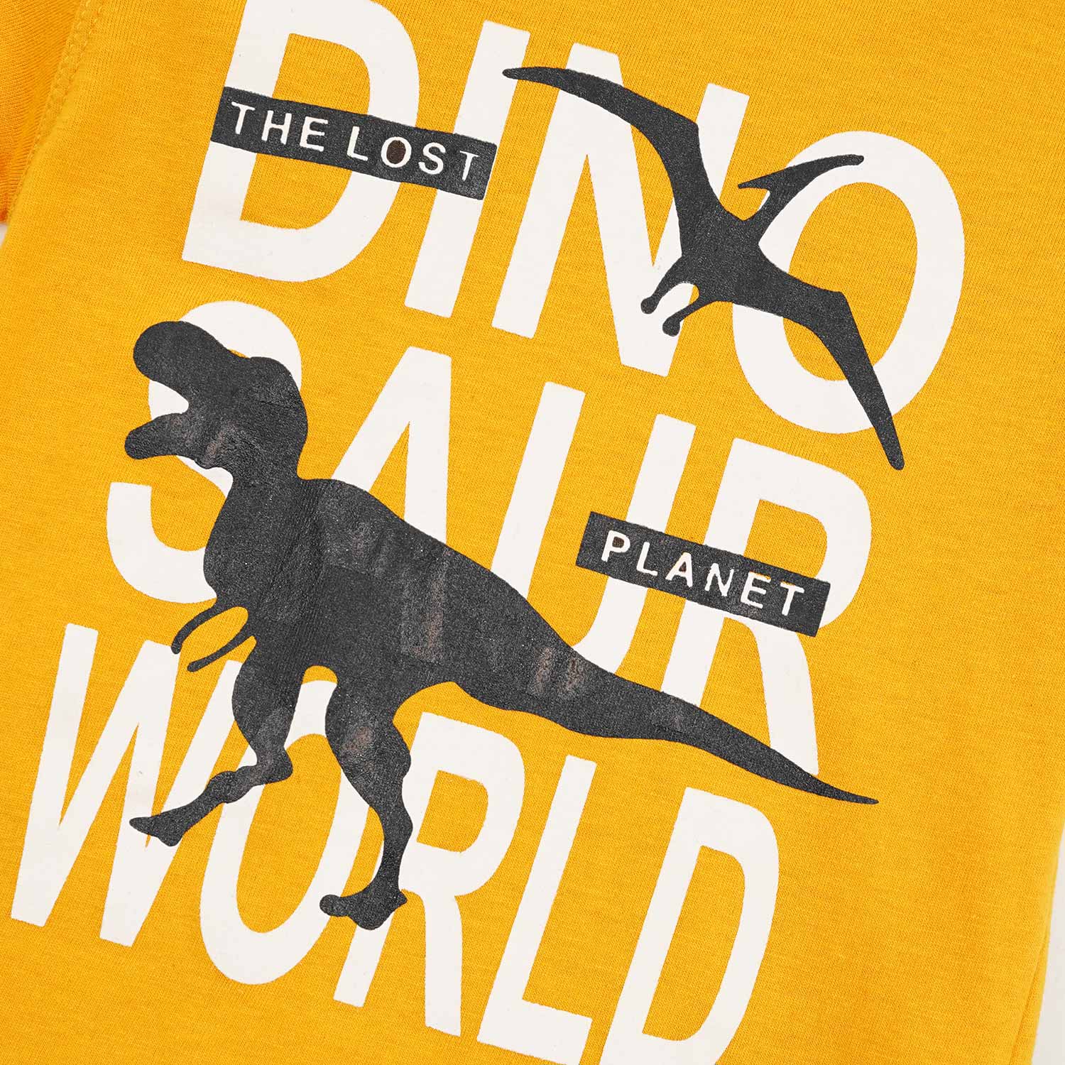 Dinosaur World T-Shirt & Short Set