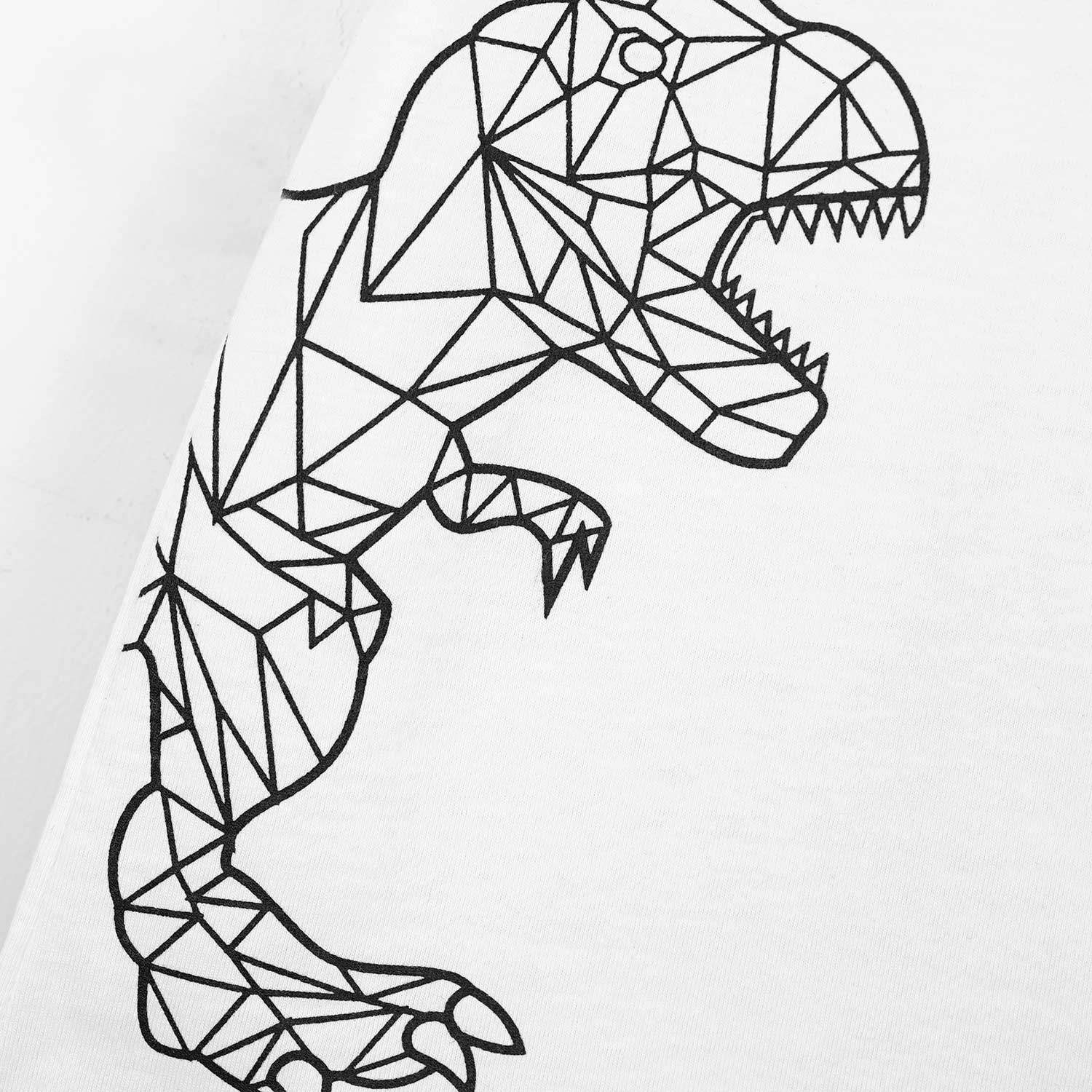 T-Rex Art Work T-Shirt & Shorts Set