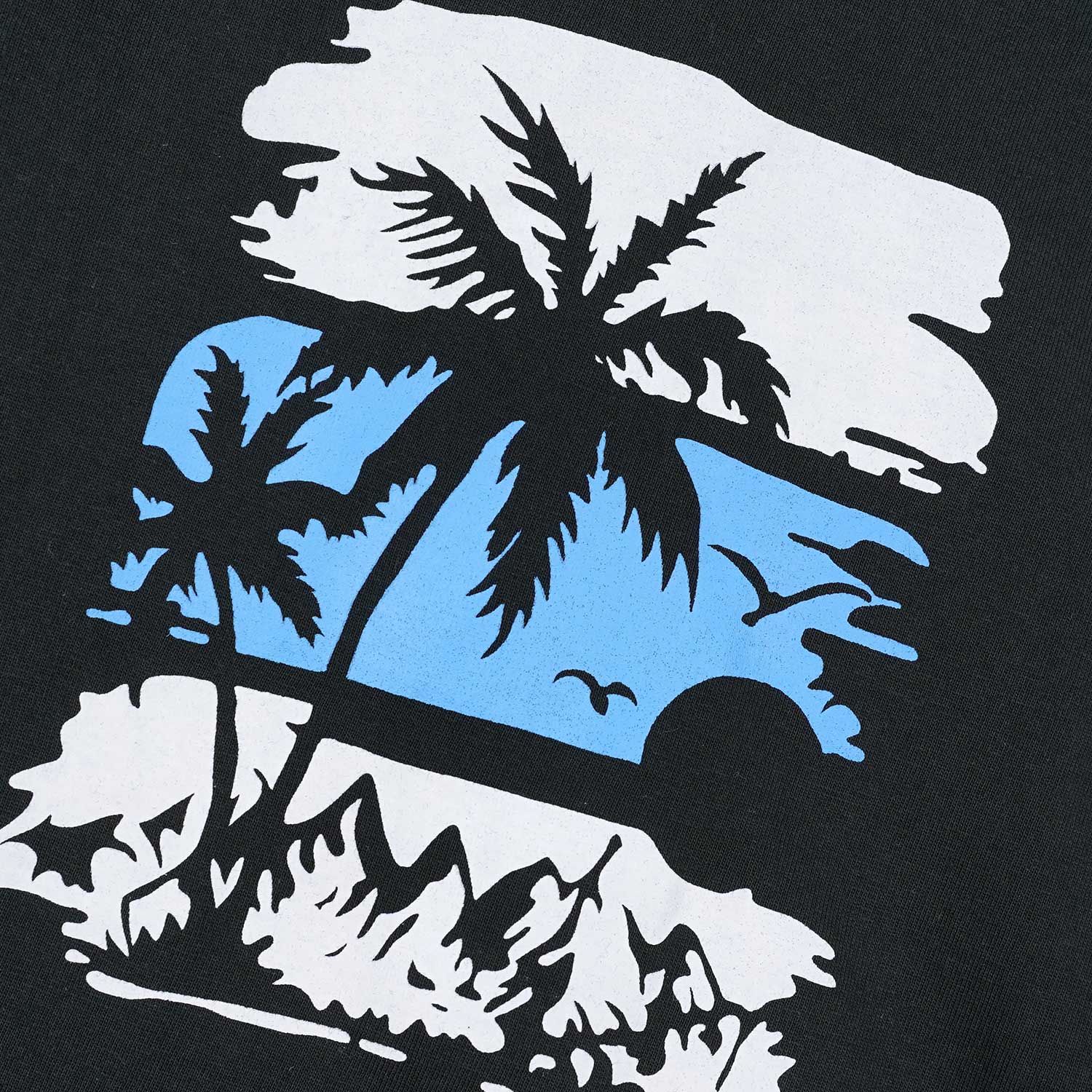 Beach Black T-Shirt & Blue Shorts Set