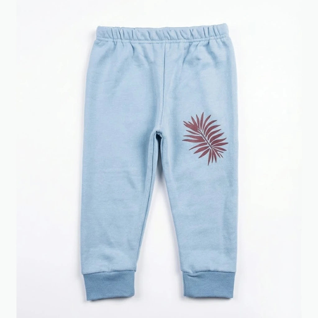 Leaf Maroon & Light Blue Tracksuit