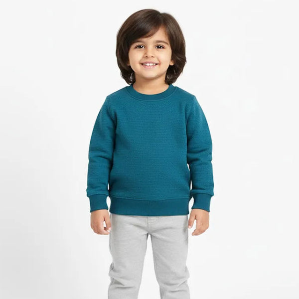 Plain Zinc Sweatshirt